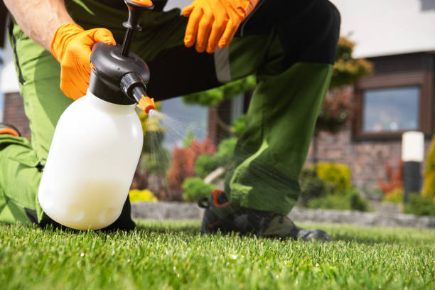 Best Commercial Pest Control Services  in Mount Wolf, PA