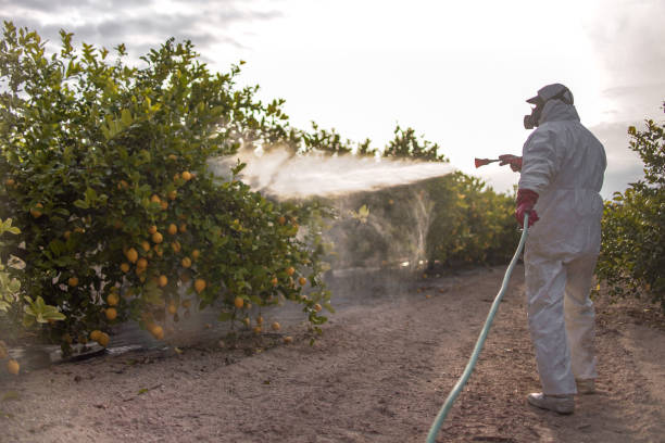 Best Insect Control  in Mount Wolf, PA