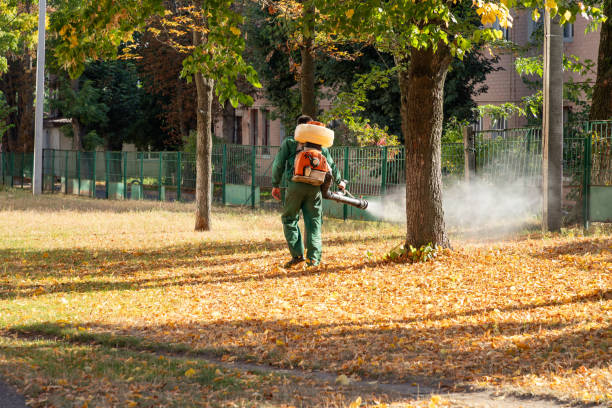 Best Pest Control Near Me  in Mount Wolf, PA