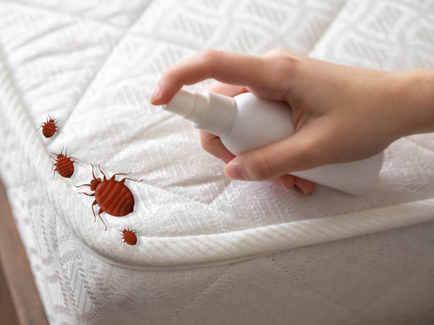 Flea Control Services in Mount Wolf, PA