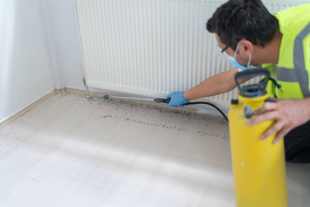 Best Pest Control Cost  in Mount Wolf, PA