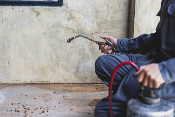 Professional Pest Control in Mount Wolf, PA